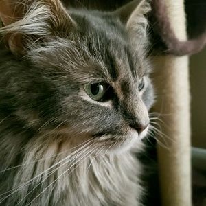 Meet your Posher, Annaliese